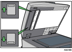 illustrazione dettagliata