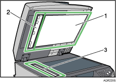 illustrazione dettagliata