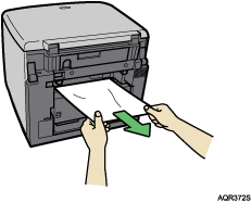 illustrazione dettagliata