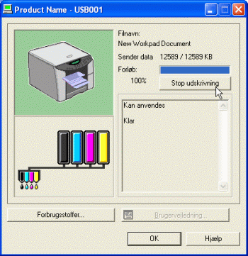 computerskærmbillede