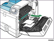 Illustrazione dell&apos;interno