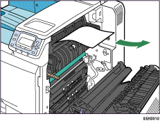 Ilustração do interior