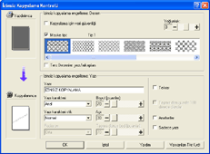 S&uuml;r&uuml;c&uuml; ekran� g&ouml;sterimi