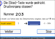 Die Abbildung zeigt die Betriebsbedienanzeige