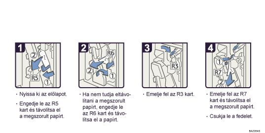 A m�k&ouml;dtet&eacute;s l&eacute;p&eacute;sei