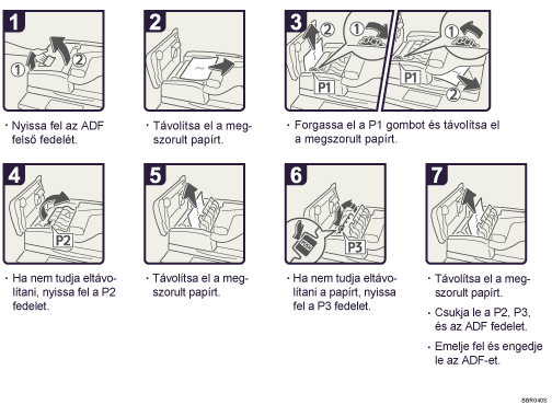 A m�k&ouml;dtet&eacute;s l&eacute;p&eacute;sei