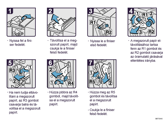 A m�k&ouml;dtet&eacute;s l&eacute;p&eacute;sei