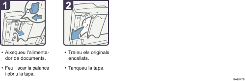 Il·lustració del procés