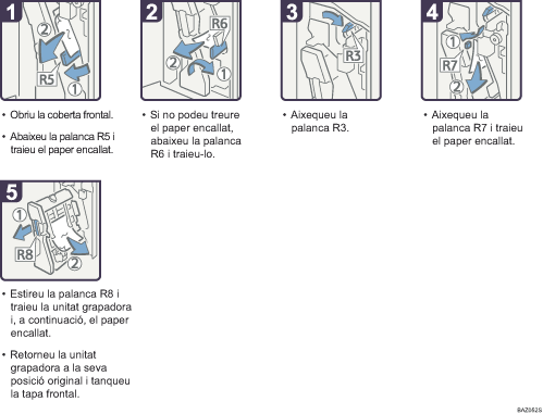Il·lustració del procés