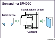 Kitapçık/Dergi Çizimi