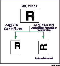 Illustrasjon av Automatisk forminsking/forstørrelse