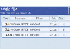 Illustrasjon av skjermen p&aring; brukerpanelet.