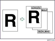 A b&eacute;lyegmint&aacute;k bemutat&aacute;sa