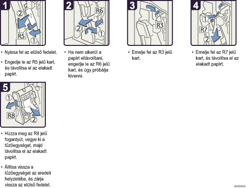 A m�k&ouml;dtet&eacute;s l&eacute;p&eacute;sei