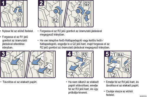 A m�k&ouml;dtet&eacute;s l&eacute;p&eacute;sei