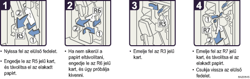 A m�k&ouml;dtet&eacute;s l&eacute;p&eacute;sei