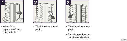 A m�k&ouml;dtet&eacute;s l&eacute;p&eacute;sei