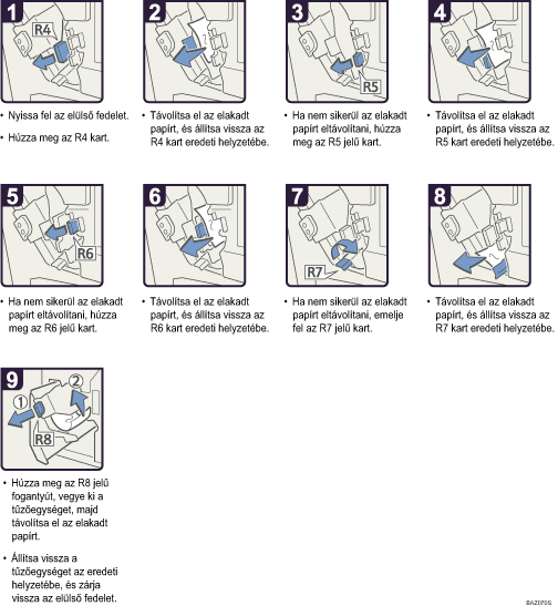 A m�k&ouml;dtet&eacute;s l&eacute;p&eacute;sei