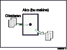 An�nda Al�m &ccedil;izimi