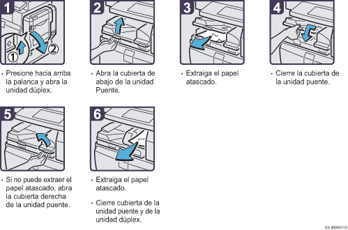 Ilustraci&oacute;n del procedimiento