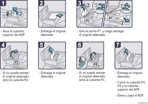 Ilustraci&oacute;n del procedimiento