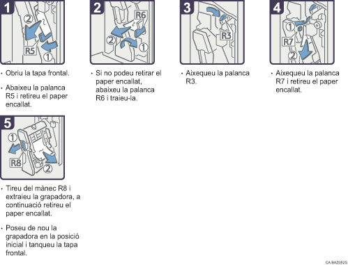 Il·lustració del procés