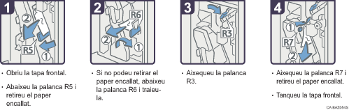 Il·lustració del procés