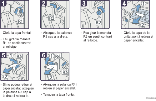 Il·lustració del procés