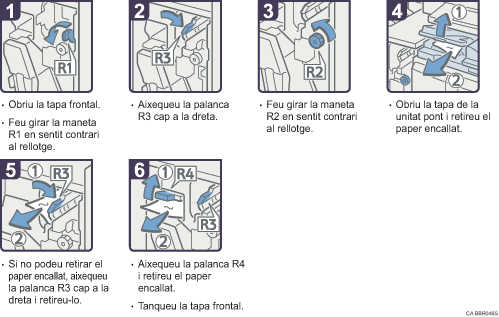 Il·lustració del procés