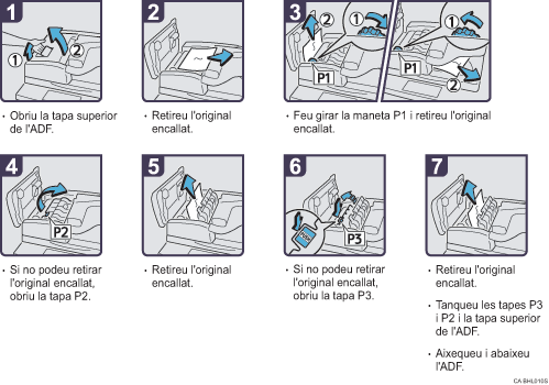 Il·lustració del procés