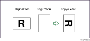 Döndürerek Kopyala Gösterimi