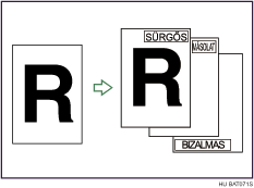 A b&eacute;lyegmint&aacute;k bemutat&aacute;sa