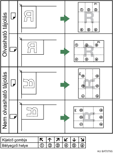 A b&eacute;lyeg helyzet&eacute;nek bemutat&aacute;sa