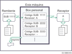 Ilustraci&oacute;n de un box personal