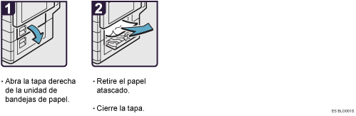 Ilustraci&oacute;n del procedimiento