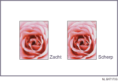 Voorbeeld van het aanpassen van de afbeeldingskwaliteit