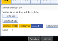 Illustrasjon av skjermpanelet