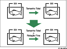Ilustração de Ajuste Fino de Escala