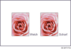 Abbildung der Einstellung der Bildqualitäten