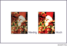 Abbildung der Einstellung der Bildqualitäten