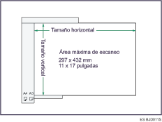 Ilustraci&oacute;n de ADF