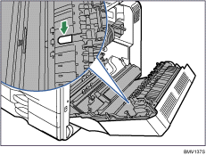 Ilustración del interior