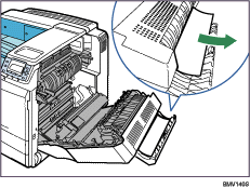 Ilustraci&oacute;n del interior