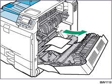 Ilustração do interior
