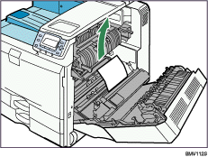 Ilustração do interior