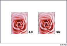 调整图像质量插图