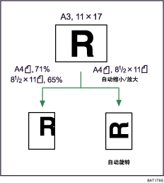 自动缩小/放大插图