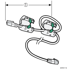 Afbeelding van een Ethernet-kabel met ferrietkern