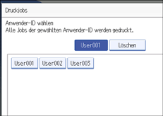Die Abbildung zeigt die Bedienfeldanzeige