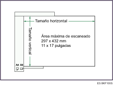Ilustraci&oacute;n de ADF